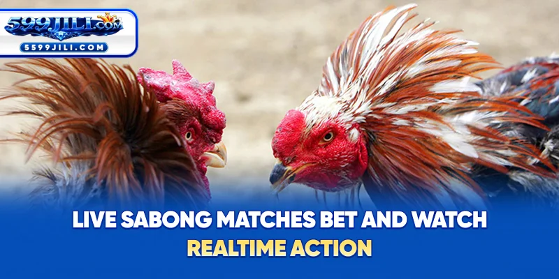 Live Sabong Matches – Bet and Watch Real-Time Action
